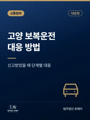 고양보복운전변호사 초기대응 -법무법인로웨이
